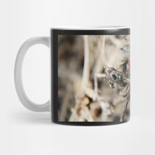 Ladybird Love Mug